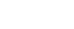 The Ford Agency